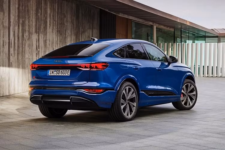 Hiện vẫn chưa rõ Audi Q6 e-tron ở Việt Nam sẽ dùng động cơ nào. Trong khi đó, tại thị trường nước ngoài, xe có 2 loại mô-tơ điện khác nhau, cho công suất tối đa 382 mã lực và 422 mã lực. Mô-tơ điện của xe kết hợp với pin lithium-ion mới phát triển có dung lượng 100 kWh.