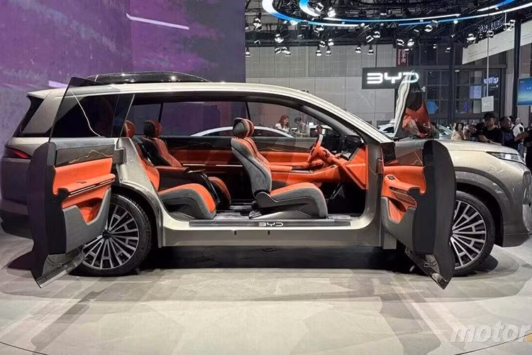 Khoang cabin của Dynasty-D áp dụng bố cục đối xứng, cảm hứng từ kiến trúc Tử Cấm Thành, mang phong cách sang trọng truyền thống nhưng kết hợp công nghệ hiện đại gồm 3 màn hình trên bảng điều khiển, vô lăng ba chấu mới. Chất liệu da lộn thân thiện môi trường và chi tiết sợi carbon mờ. Hàng ghế thứ hai có ghế không trọng lực, hỗ trợ đủ bộ công năng: chỉnh điện đa hướng, sưởi, làm mát, massage.