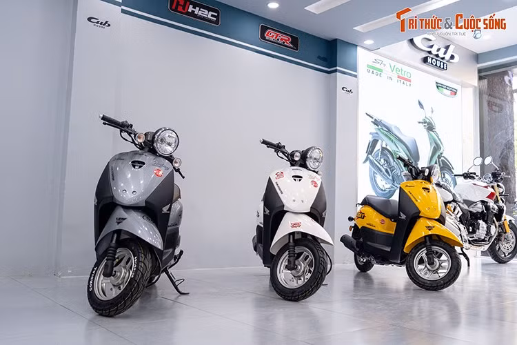 Dù mức giá này khá cao nếu so với phân khúc 50cc, nhưng với thương hiệu Honda, thiết kế cổ điển và độ hiếm tại Việt Nam - chiếc xe tay ga "nhỏ xinh" vẫn sẽ được nhiều người yêu thích sưu tầm hoặc tìm kiếm một chiếc xe tay ga nhỏ gọn, độc lạ để dử dụng trong những thành phố hay đô thị.