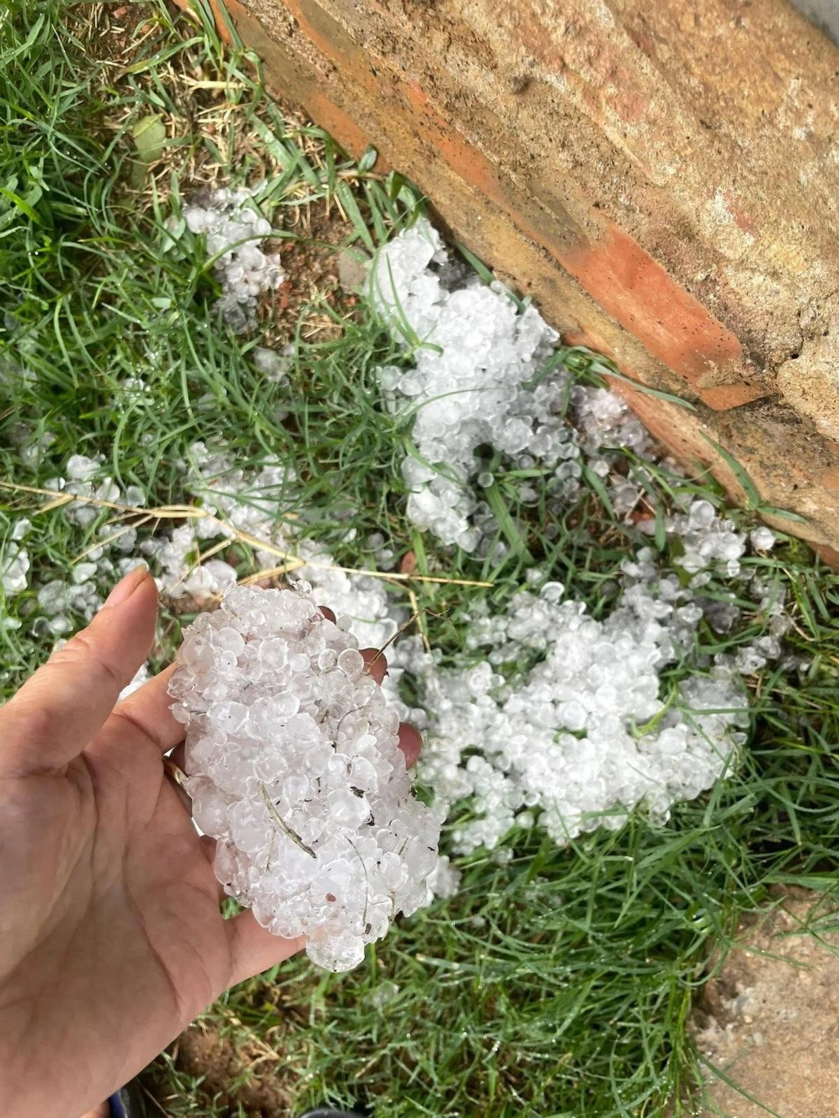 Mưa đá xảy ra bất ngờ, gây ảnh hưởng đến hoạt động sản xuất nông nghiệp của người dân. (Ảnh H.Q.S.L)