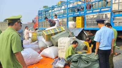 Thủ tướng chỉ đạo tiếp tục đẩy mạnh cao điểm đấu tranh ngăn chặn, đẩy lùi buôn lậu, gian lận thương mại 