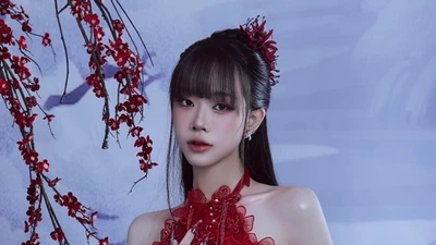 Bản sao Mỹ Tâm kể bị chèn ép ở Giọng hát Việt 2015