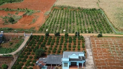 Chuyển đất vườn sang đất ở thuế cao, Bộ Tài chính lý giải