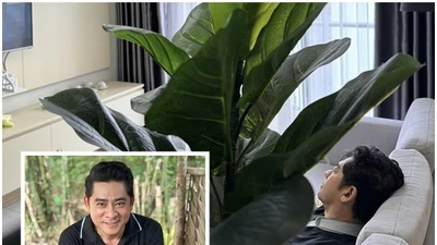Huỳnh Anh Tuấn xuất hiện sau khi bị đột quỵ