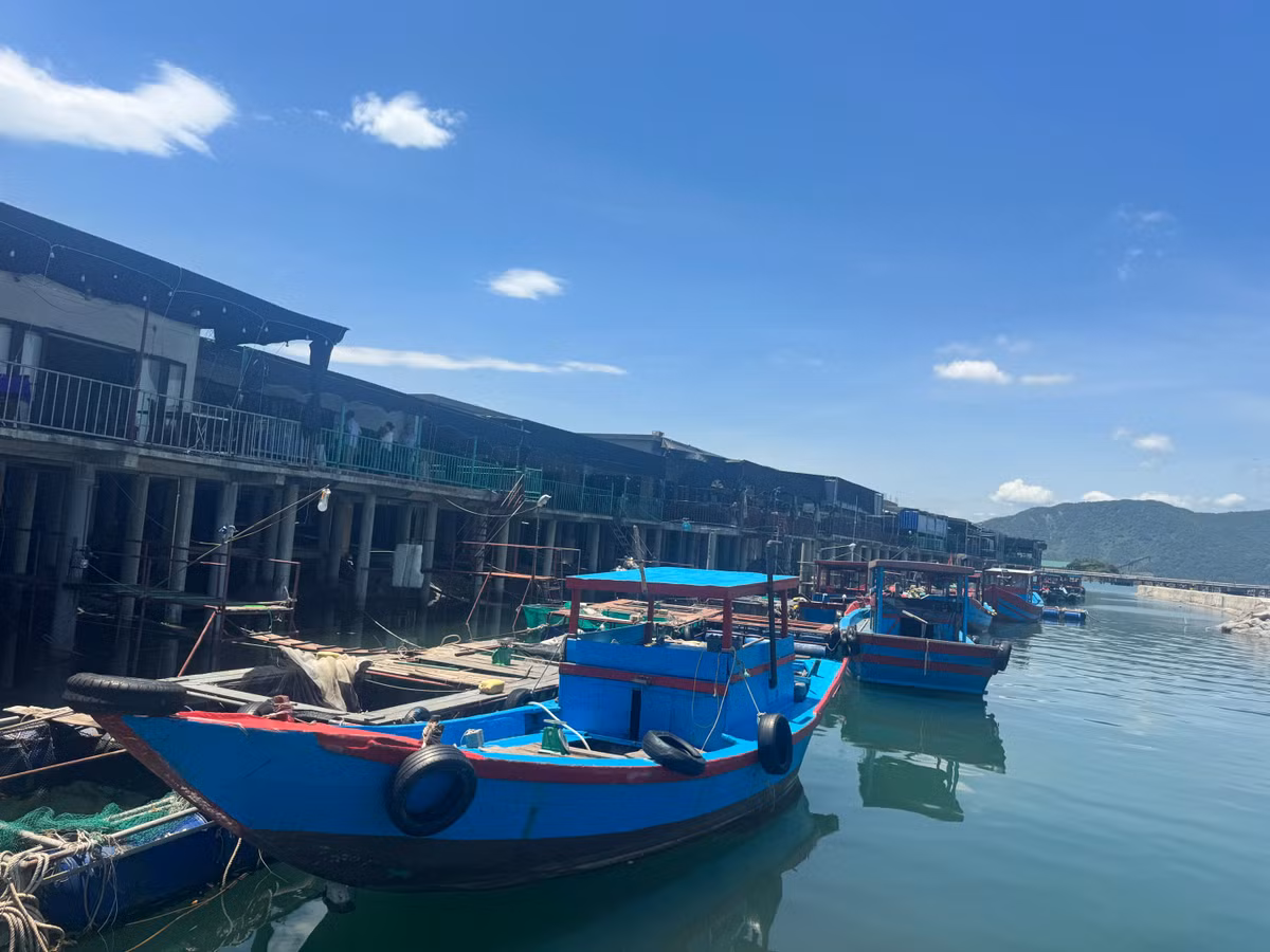 Anh Hải người Hà Nội chi sẻ: "Mỗi lần vào Hà Tĩnh công tác hay đi du lịch qua, tôi thường chọn Vũng Áng để thưởng thức món mực nhảy. Mực ở đây tươi ngon, đậm vị ngon ngọt đặc trưng mà hải sản cùng loại ở nơi khác khó có được. Đặc biệt, việc ăn mực sống tại bè thì chỉ có ở Vũng Áng bạn mới có thể trải nghiệm. Rất thú vị".