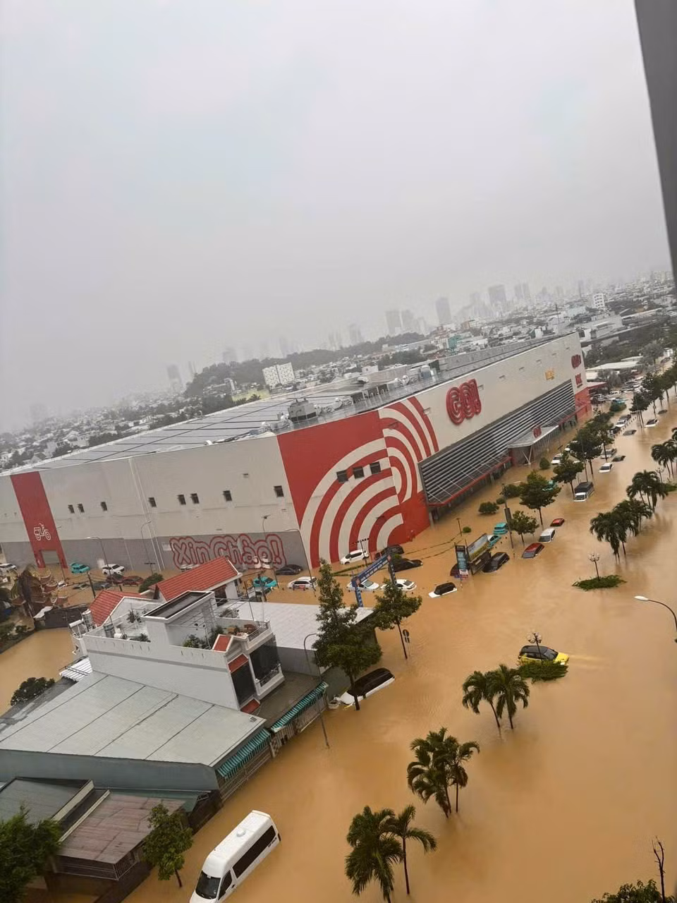 Đài Khí tượng Thủy văn tỉnh Khánh Hòa thông tin tình hình ngập lụt tại địa phương diễn ra tương đối phức tạp bởi lượng mưa đặc biệt lớn. Đáng chú ý, lũ trên các sông lên nhanh gây ngập lụt nặng ở nhiều nơi, kể cả khu vực được cho là vị trí cao như Siêu thị Go! ở Nha Trang.