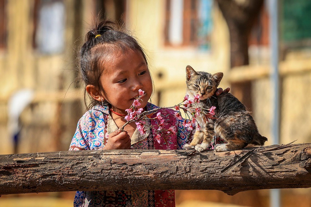 Vẻ đẹp trong trẻo nơi rẻo cao xứ Nghệ.