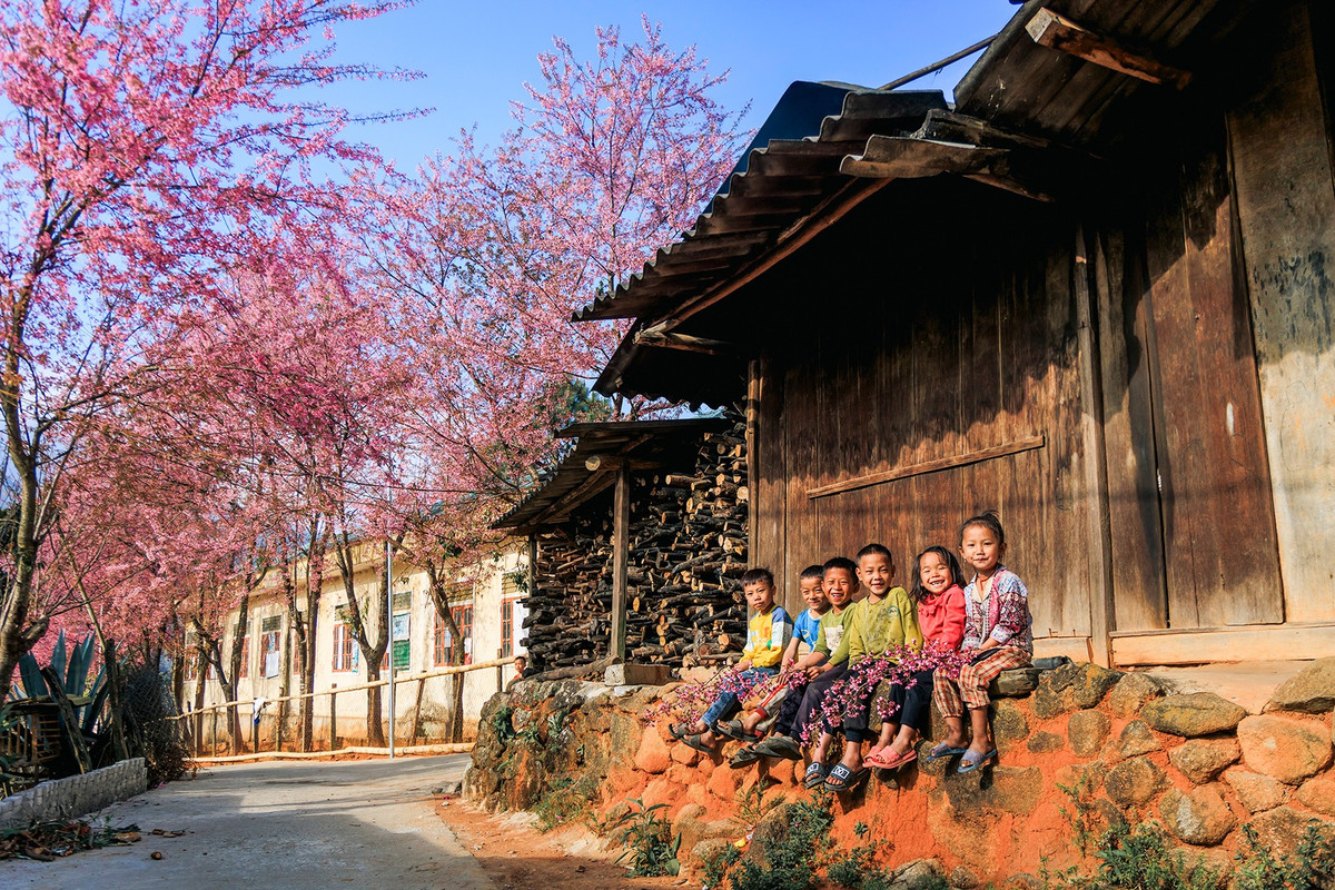 Dưới tán hoa anh đào, bản làng bình yên đang từng ngày đổi mới nhưng vẫn giữ được nét văn hóa đặc sắc.