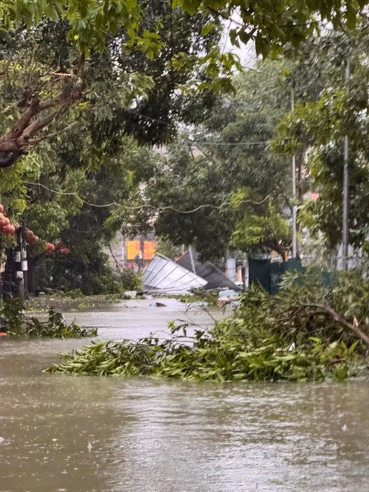 Mưa lớn, gió giật dữ dội đã quật ngã hàng loạt cây xanh, cột điện và làm hư hỏng nhiều tuyến đường. Nhà dân và công trình công cộng cũng bị hư hại nghiêm trọng.