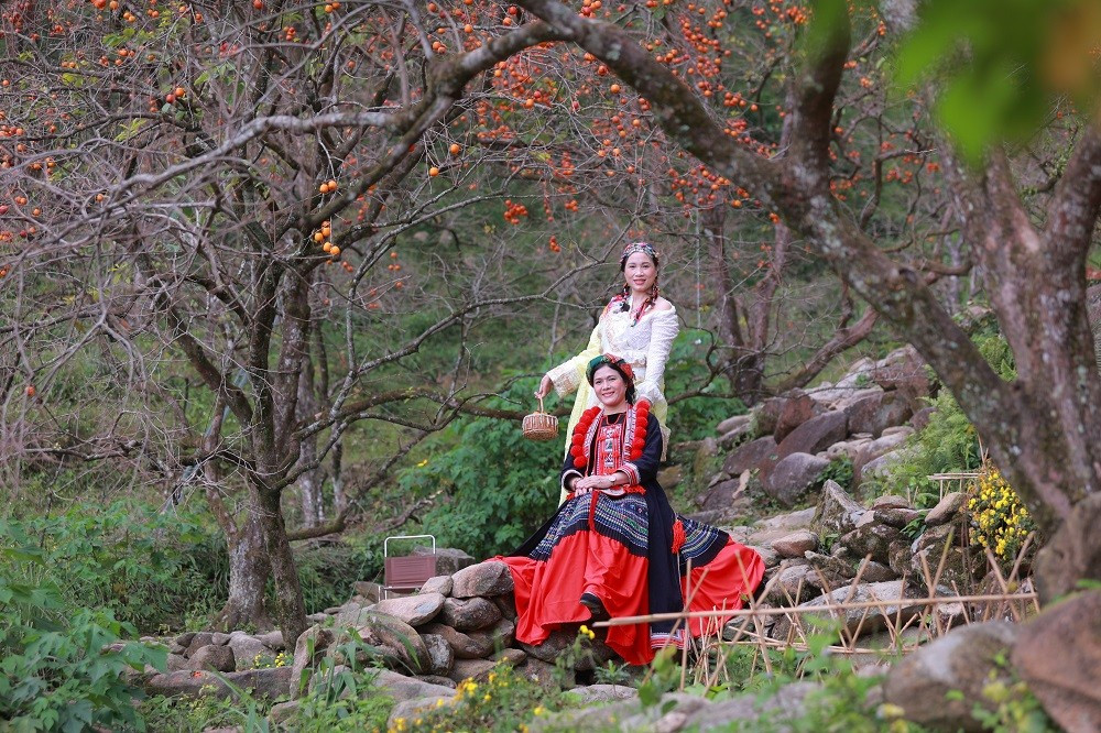 Trung bình mỗi ngày có hàng trăm du khách tìm tới vườn hồng để trải nghiệm, check-in. Những ngày cuối tuần lượng du khách thường tăng gấp đôi.