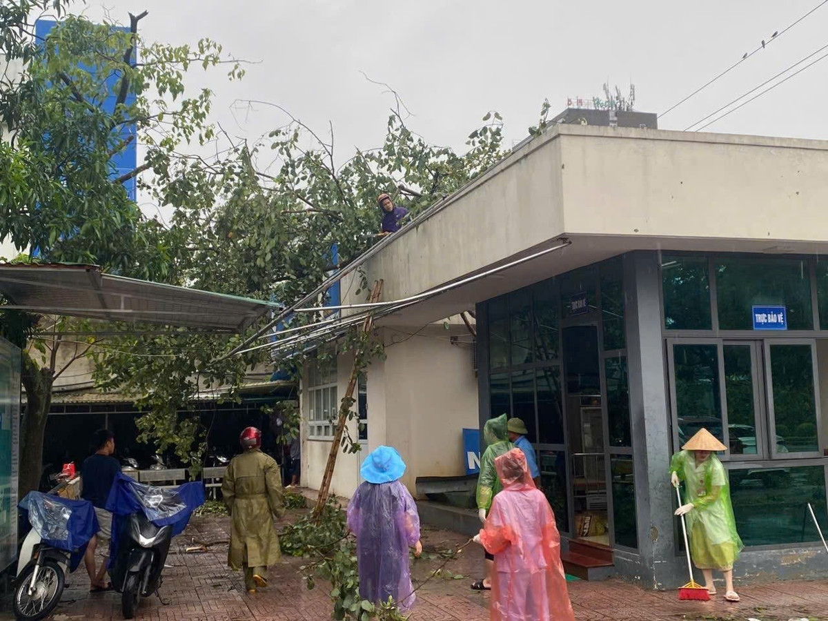 Hệ thống cây xanh gãy đổ ở bệnh viện Nội tiết Nghệ An.