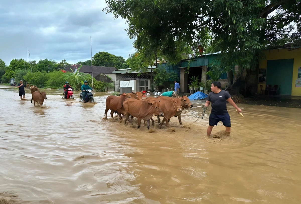 Người dân di chuyển tài sản đến nơi an toàn.
