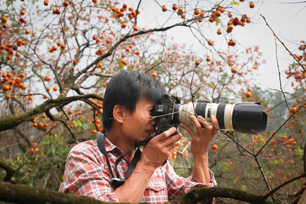 Anh Nguyễn Trọng Sách, chủ điểm du lịch Đại Huệ Farm Stay, cũng là một thợ ảnh gia cho biết, năm nay do ảnh hưởng của bão lũ, hồng bị rụng quả nhiều, năng suất giảm. Tuy nhiên, để đáp ứng nhu cầu của du khách, anh đầu tư thêm các hạng mục phụ trợ phục vụ việc check-in và các dịch vụ kèm theo như thuê trang phục, phụ kiện, giải khát...