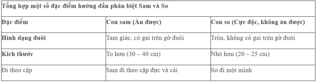 Hướng dẫn đơn giản phân biệt con sam và con so - Nguồn hình: Internet anh-chup-man-hinh-2025-06-10-144006.jpg