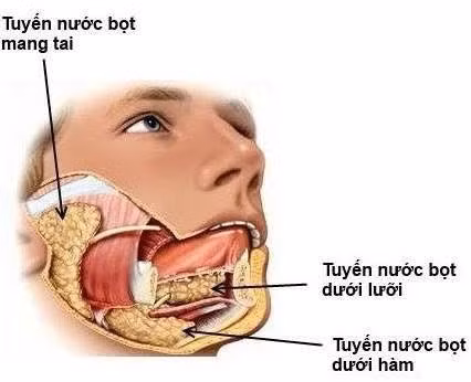 tuyen-nuoc-bot.jpg