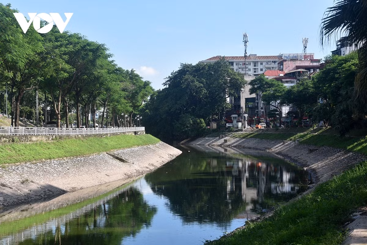 Dòng sông phẳng lặng, cỏ cây ven sông xanh tốt