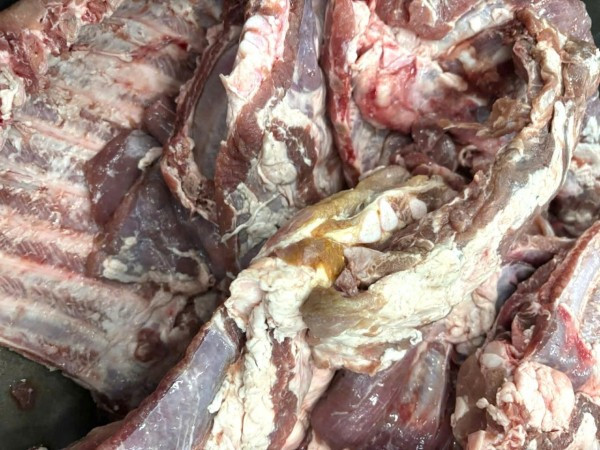 Thịt heo chuyển màu xanh được đưa vào Trường Tiểu học Lương Thế Vinh.