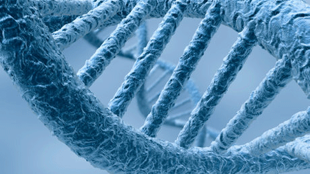 Tiến sĩ David Adams, nhà nghiên cứu ung thư tại Viện Wellcome Trust Sanger, Anh chia sẻ: “Nghiên cứu của chúng tôi là một ví dụ điển hình về cách hiểu mã di truyền của bệnh ung thư nhằm tìm kiếm phương pháp điều trị hiệu quả”.