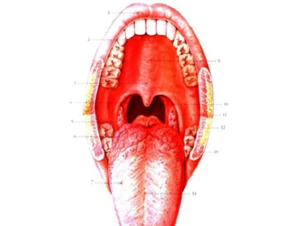 8 phương pháp chẩn đoán ung thư mũi họng