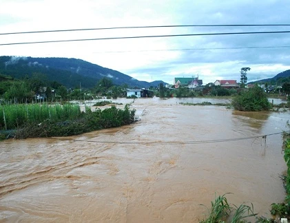 Cảnh tan hoang sau trận lũ lịch sử ở Lâm Đồng