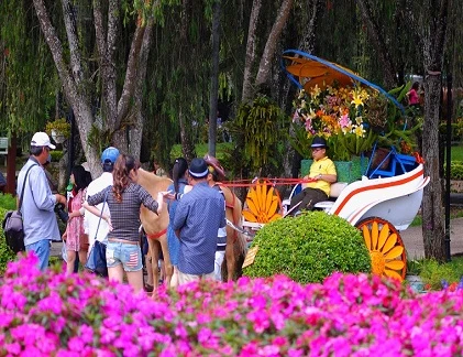 Du khách ùn ùn lên Đà Lạt ngắm hoa, tránh nóng