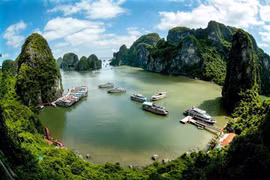 Du lịch Việt Nam tăng sức hút trong bản đồ quốc tế 2026