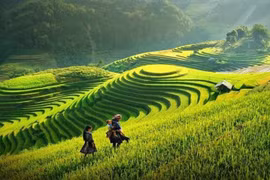 Trào lưu du lịch bền vững định hình lại xu hướng dịch chuyển của du khách