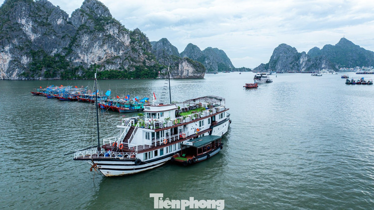 Toàn tỉnh hiện có 4.268 tàu cá các loại đã được thông tin, hướng dẫn đến người quản lý phương tiện về diễn biến của bão. Thời điểm này, không có tàu hoạt động trong vùng ảnh hưởng của bão, tất cả đều đã chủ động neo đậu tại các bến cá, khu vực kín gió trong tỉnh cũng như tại các khu tránh trú bão ở Cát Bà, Đồ Sơn (TP Hải Phòng). Cùng với đó, 375 tàu du lịch trên địa bàn tỉnh đã được thông tin, cập nhật tình hình bão tới người quản lý. Các tàu này đã khẩn trương trở về bến, hoàn tất công tác neo đậu an toàn. Toàn tỉnh hiện có 4.268 tàu cá các loại đã được thông tin, hướng dẫn đến người quản lý phương tiện về diễn biến của bão. Thời điểm này, không có tàu hoạt động trong vùng ảnh hưởng của bão, tất cả đều đã chủ động neo đậu tại các bến cá, khu vực kín gió trong tỉnh cũng như tại các khu tránh trú bão ở Cát Bà, Đồ Sơn (TP Hải Phòng). Cùng với đó, 375 tàu du lịch trên địa bàn tỉnh đã được thông tin, cập nhật tình hình bão tới người quản lý. Các tàu này đã khẩn trương trở về bến, hoàn tất công tác neo đậu an toàn.