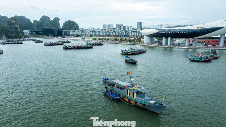 Lực lượng Bộ đội Biên phòng tỉnh Quảng Ninh bố trí một tàu sắt tại khu vực này cùng hai xuồng máy để sẵn sàng ứng phó khi có sự cố xảy ra. Chủ động ứng phó với bão số 5, Hải đội 2, Bộ đội Biên phòng tỉnh Quảng Ninh đã tăng cường tuần tra, kiểm đếm, thông báo và kêu gọi tàu thuyền di chuyển vào khu neo đậu an toàn, hạn chế tối đa thiệt hại do bão gây ra. Lực lượng Bộ đội Biên phòng tỉnh Quảng Ninh bố trí một tàu sắt tại khu vực này cùng hai xuồng máy để sẵn sàng ứng phó khi có sự cố xảy ra. Chủ động ứng phó với bão số 5, Hải đội 2, Bộ đội Biên phòng tỉnh Quảng Ninh đã tăng cường tuần tra, kiểm đếm, thông báo và kêu gọi tàu thuyền di chuyển vào khu neo đậu an toàn, hạn chế tối đa thiệt hại do bão gây ra.