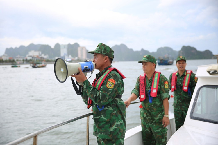 Chiều 24/8, tỉnh Quảng Ninh ra thông báo dừng cấp phép hoạt động các tàu du lịch, tàu tham quan vịnh, tàu nghỉ đêm trên vịnh và kêu gọi tất cả các tàu thuyền khẩn trương vào bờ để tránh trú bão số 5 - Kajiki. Chiều 24/8, tỉnh Quảng Ninh ra thông báo dừng cấp phép hoạt động các tàu du lịch, tàu tham quan vịnh, tàu nghỉ đêm trên vịnh và kêu gọi tất cả các tàu thuyền khẩn trương vào bờ để tránh trú bão số 5 - Kajiki.