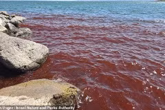 Biển hồ Galilee đỏ như máu, bình thường hay 'điềm xấu'?