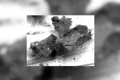 Thông tin mới về mẫu đá được đưa về từ tiểu hành tinh Ryugu