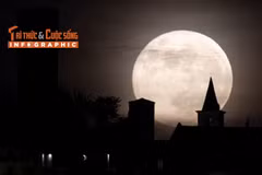 [INFOGRAPHIC] Những sự thật kỳ thú về Mặt Trăng