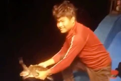 Cảm động khoảnh khắc ngư dân Gia Lai thả rùa quý về biển