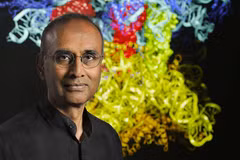 TS Ramakrishnan và hành trình khám phá bí ẩn sự sống, giành giải Nobel 