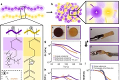 Các nhà khoa học Hà Lan phát minh vật liệu thách thức các định luật vật lý