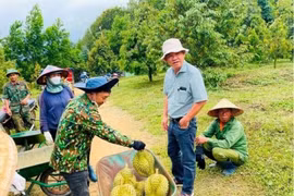 Nhiều đại gia bất ngờ lấn sân kinh doanh sầu riêng xuất khẩu