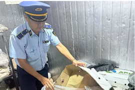 Phát hiện thịt lợn bốc mùi hôi thối sắp 'tuồn' ra thị trường