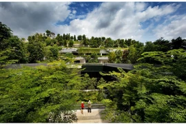 Bất động sản dưỡng lão thành 'mỏ vàng mới', thu hút loạt đại gia