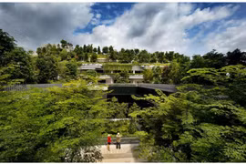 Bất động sản dưỡng lão thành 'mỏ vàng mới', thu hút loạt đại gia