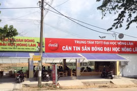 ĐH Nông Lâm TP HCM đã tìm được nhà thầu thi công sửa chữa sân bóng hơn 4 tỷ