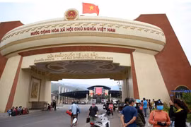 3 nhóm hàng nhập khẩu từ Lào được ưu đãi thuế đặc biệt