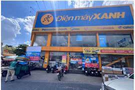 Điện Máy Xanh của Thế Giới Di Động sắp lên sàn