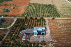 Chấm dứt cảnh chuyển đổi đất vườn lên đất ở nộp thuế tiền tỷ