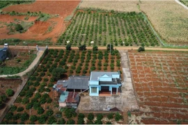 Chấm dứt cảnh chuyển đổi đất vườn lên đất ở nộp thuế tiền tỷ