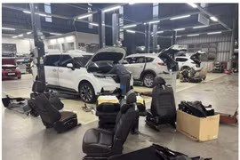 Các hãng bảo hiểm chi hàng trăm tỉ đồng khắc phục hậu quả bão lũ