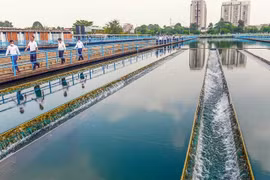 Cty Thành Công tiếp tục thắng gói thầu hơn 6 tỷ tại Sawaco