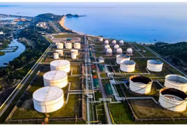 Điều gì đang xảy ra với cổ phiếu công ty lọc hóa dầu lớn nhất sàn?