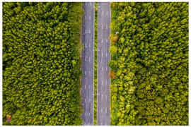 TP.HCM chi gần 3.000 tỷ nối cao tốc Bến Lức - Long Thành với Cần Giờ