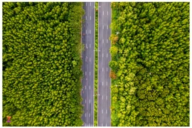 TP.HCM chi gần 3.000 tỷ nối cao tốc Bến Lức - Long Thành với Cần Giờ